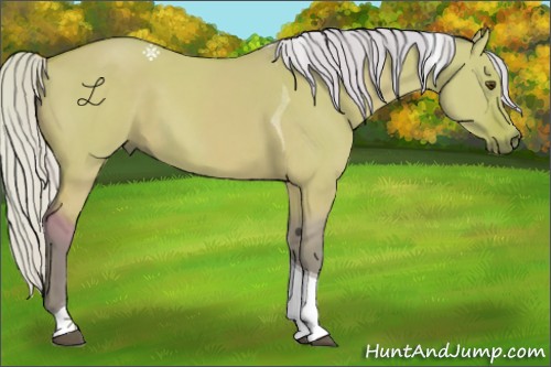 Horse Color:Watercolor Silver Buckskin Dun Tobiano 