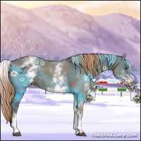 Horse Color:White Spotted Liver Red Dun 
