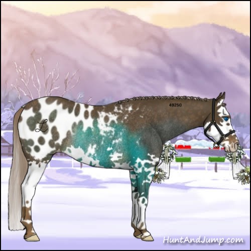 Horse Color:Chocolate Palomino Splash Blanket Rabicano