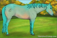 Horse Color:Watercolor Brown Rabicano 