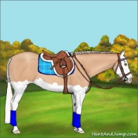 Horse Color:Silver Amber Champagne Splash 