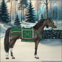 Horse Color:Brown Dun Sabino Brindle 