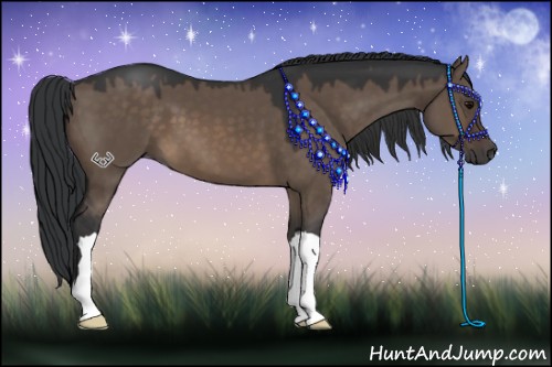 Horse Color:Brown Dun