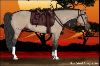 Horse Color:Brown Dun
