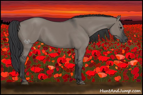 Horse Color:Grullo Sabino 