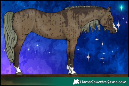 Horse Color:Liver Red Dun Brindle 