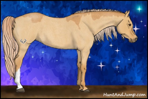 Horse Color:Palomino Roan Dun 