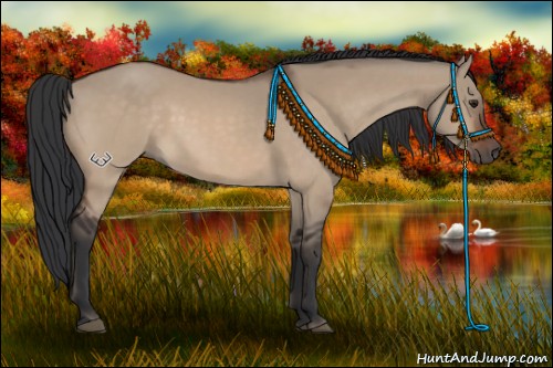 Horse Color:Brown Dun 