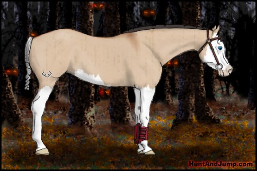 Horse Color:Bay Dun Sabino Splash Brindle 