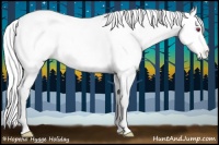 Horse Color:Silver Perlino Chinchilla Roan Dun Appaloosa Rabicano 