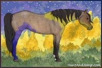 Horse Color:Buckskin Roan Dun 