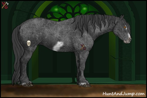 Horse Color:Black Frame 