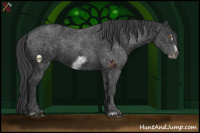 Horse Color:Black Frame 