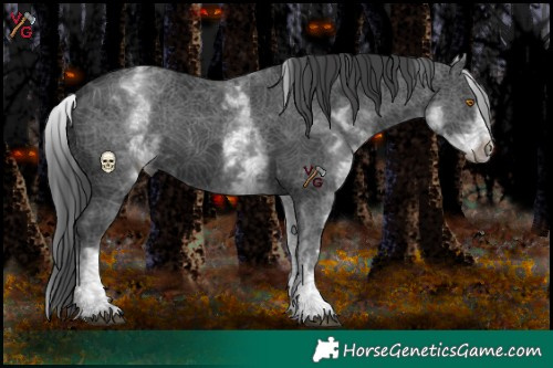 Horse Color:White Spotted Black