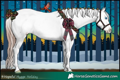 Horse Color:White Spotted Liver Red Roan Splash Appaloosa Rabicano 