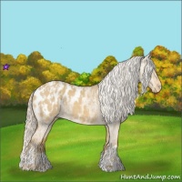 Horse Color:Palomino Dun Blanket and Palomino Dun Blanket