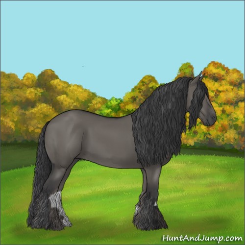 Horse Color:Grullo