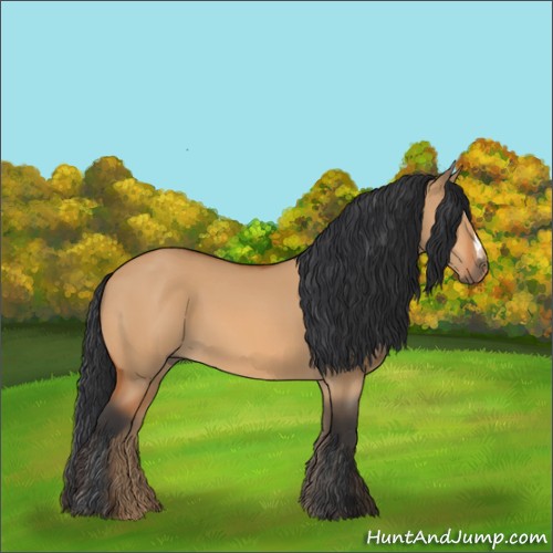 Horse Color:Bay Dun