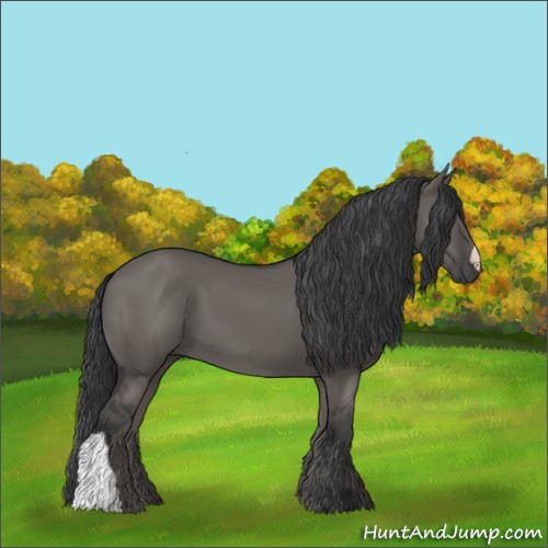Horse Color:Grullo