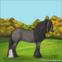 Horse Color:Grullo 