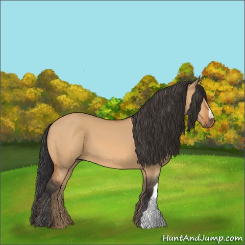 Horse Color:Bay Dun 