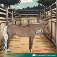 Horse Color:Liver Red Dun Mushroom 