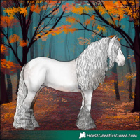 Horse Color:Gray Silver Bay Roan Tobiano