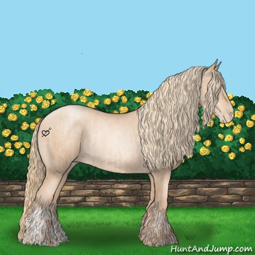 Horse Color:Gold Champagne Pearl Rabicano  and Gold Champagne Pearl Rabicano 