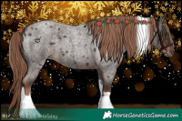 Horse Color:Liver Red Roan Tobiano