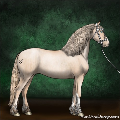 Horse Color:Gold Champagne Pearl Rabicano and Gold Champagne Pearl Rabicano