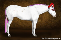 Horse Color:Painted White Spotted Buckskin Ice Appaloosa Rabicano 