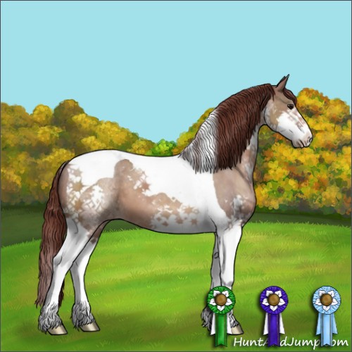 Horse Color:Chocolate Brown Dun Splash Tobiano Appaloosa