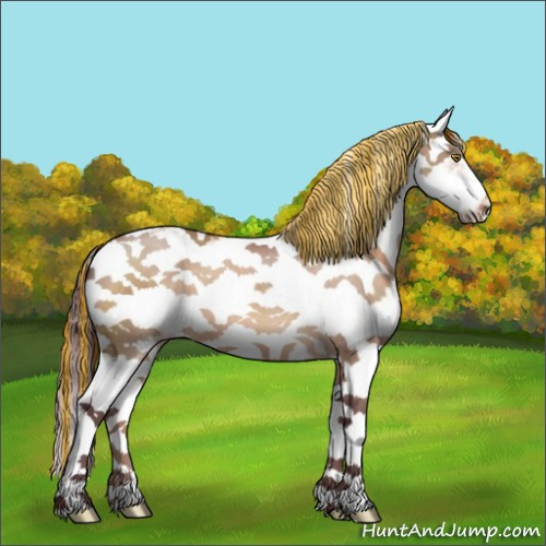 Horse Color:Painted Chocolate Brown Dun Sabino Splash 