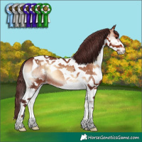 Horse Color:Chocolate Brown Onyx Splash Tobiano 
