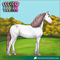 Horse Color:Painted Chocolate Brown Onyx Sabino Appaloosa 