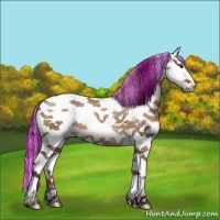 Horse Color:Painted Chocolate Brown Dun Sabino 