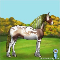 Horse Color:Painted Chocolate Brown Onyx Tobiano Varnish 