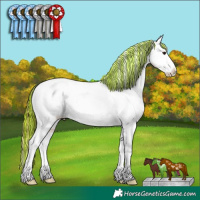 Horse Color:Painted Chocolate Brown Dun Tobiano Varnish 