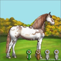 Horse Color:Painted Chocolate Brown Onyx Splash Tobiano Appaloosa