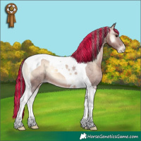Horse Color:Painted Chocolate Brown Onyx Tobiano Appaloosa 