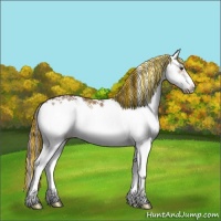 Horse Color:Painted Chocolate Brown Dun Sabino 
