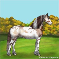 Horse Color:Chocolate Brown Onyx Splash Tobiano 