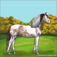 Horse Color:Chocolate Brown Dun Splash Tobiano 