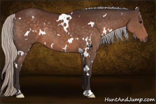 Horse Color:White Spotted Silver Brown 