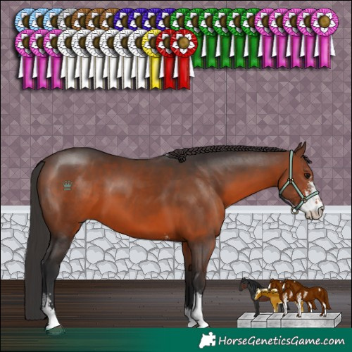 Horse Color:Brown Sabino 