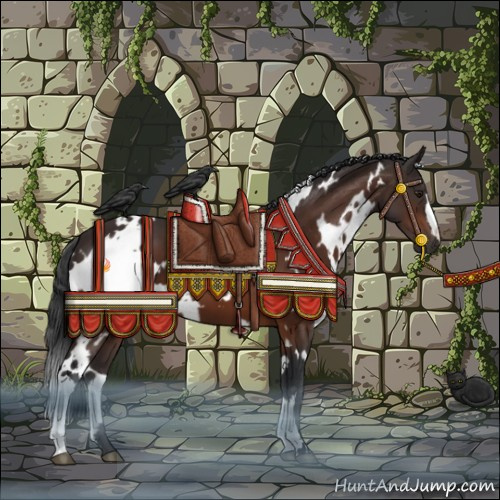 Horse Color:White Spotted Brown 