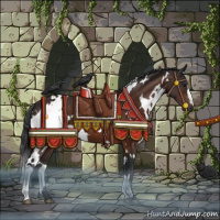 Horse Color:White Spotted Brown 