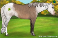 Horse Color:Silver Brown Roan Dun Appaloosa 