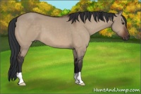 Horse Color:Brown Dun