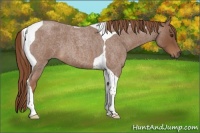 Horse Color:Red Roan Tobiano 